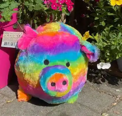 CADEAUSHOP PIGGY CRAZY (REGENBOOG), 550 ALL-IN PUNTEN