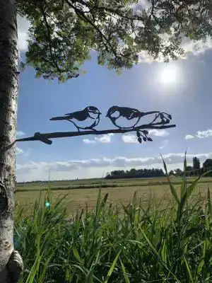 METALEN PIMPEL EN KOOLMEES