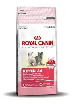 RC FHN KITTEN 2KG