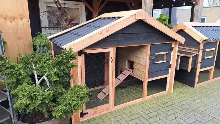 DAI ROBUUSTE KIPPENWONING 230 X 100 CM