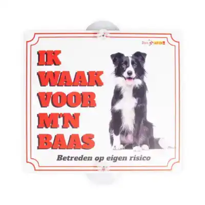 ONTWERP EEN WAAKBORD VOOR JOUW HOND!