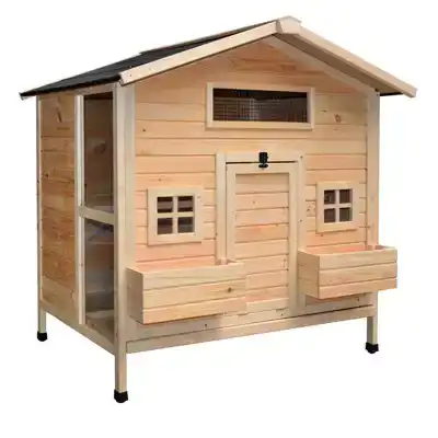 DAI KIPPENWONING ANIQUE