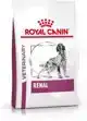 ROYAL CANIN RENAL HOND 7KG