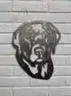 METALEN LABRADOR KOP