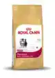 RC FBN PERSIAN KITTEN 2KG