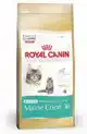 RC FBN MAINE COON KITTEN 400G