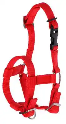 ALPACA HALSTER ROOD