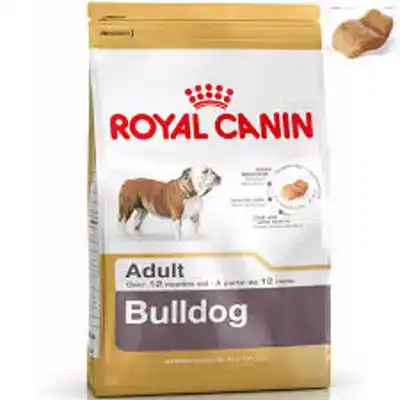 RC BHN ENGLISH BULLDOG AD 3KG