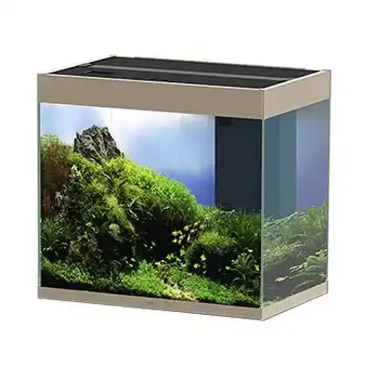 CIANO AQUARIUM EMOTIONS NATURE PRO 60 MYSTIC