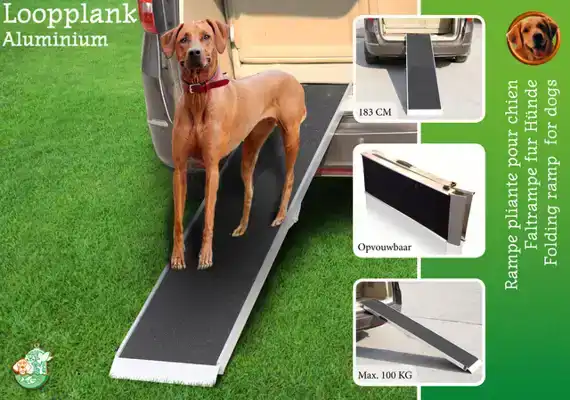 LOOPPLANK ALUMINIUM ANTI-SLIP 183CM