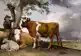 CADEAUSHOP PUZZEL DE STIER, 1000 ALL-IN PUNTEN