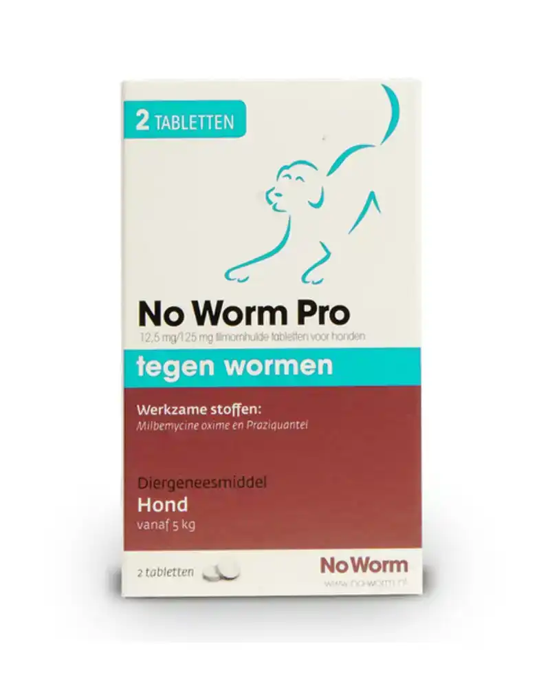 NO WORM PRO HOND 2 TABLETTEN