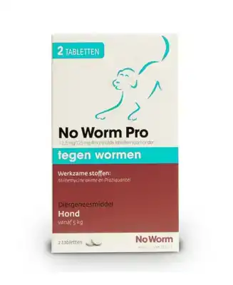 NO WORM PRO HOND 2 TABLETTEN