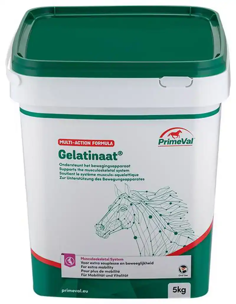 PRIMEVAL GELATINAAT PAARD 5 KG