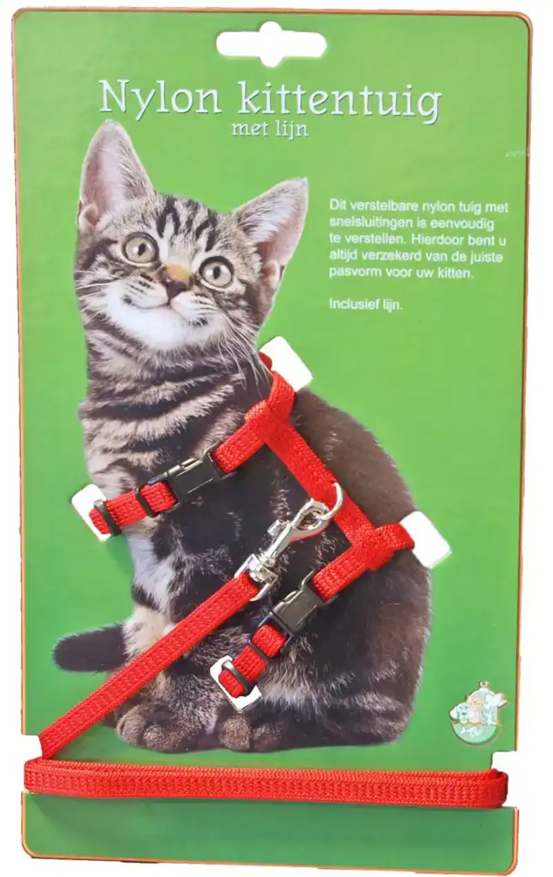 NYLON KITTENTUIG MET LIJN ROOD