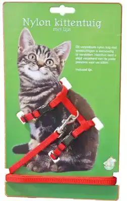 NYLON KITTENTUIG MET LIJN ROOD