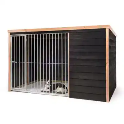 VOLDUX HONDENKENNEL REX