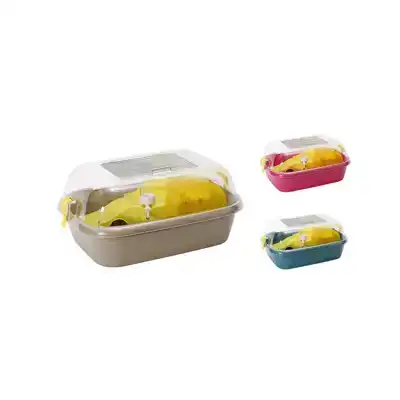 DUVO+ KNAAGDIERWONING CANDY GEMENGDE KLEUREN