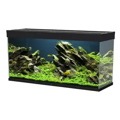 CIANO AQUARIUM EMOTIONS NATURE PRO 120 ZWART