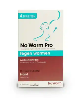 NO WORM PRO HOND 4 TABLETTEN