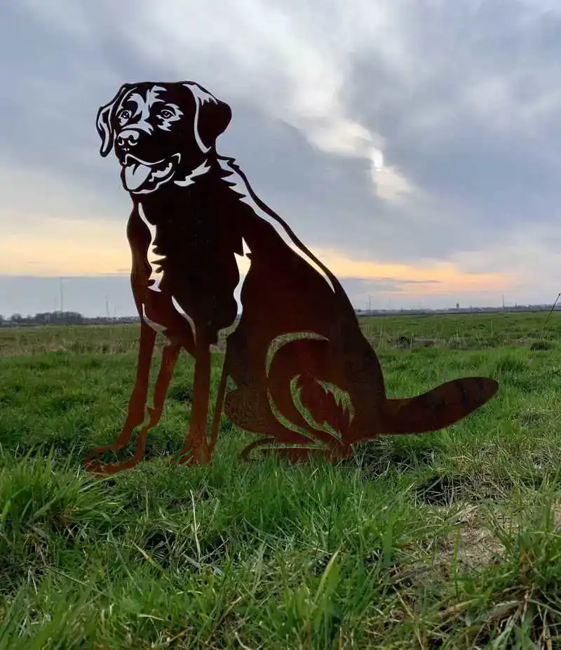 METALEN LABRADOR LEVENSECHT
