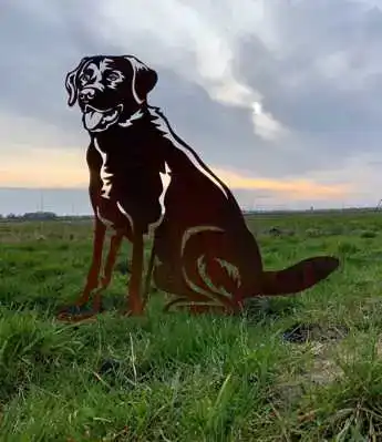 METALEN LABRADOR LEVENSECHT