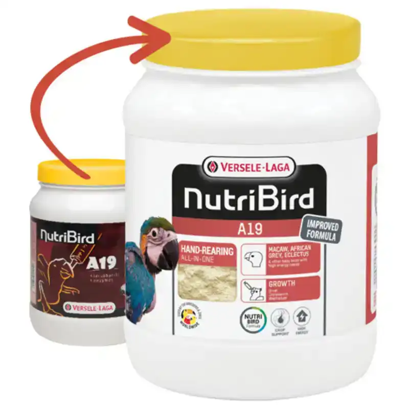 A19 PAPEGAAI 800 G