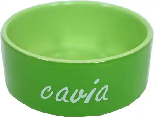 CAVIA EETBAK STEEN GROEN 12CM