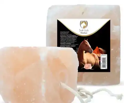 LIKSTEEN HIMALAYA INCL. SISALTOUW