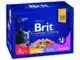 BRIT PREMIUM CAT FAMILY PLATE 12 X 100 GR PREMIUM