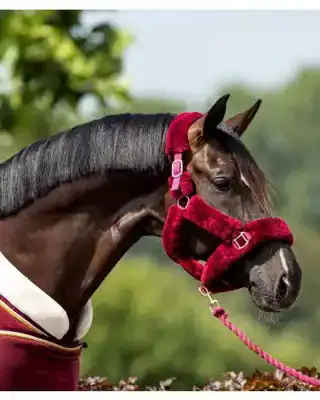 SHOWTIME HALSTER FLUFFY BURGUNDY COB