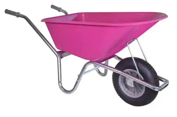 KLUS/TUIN KRUIWAGEN FUCHSIA