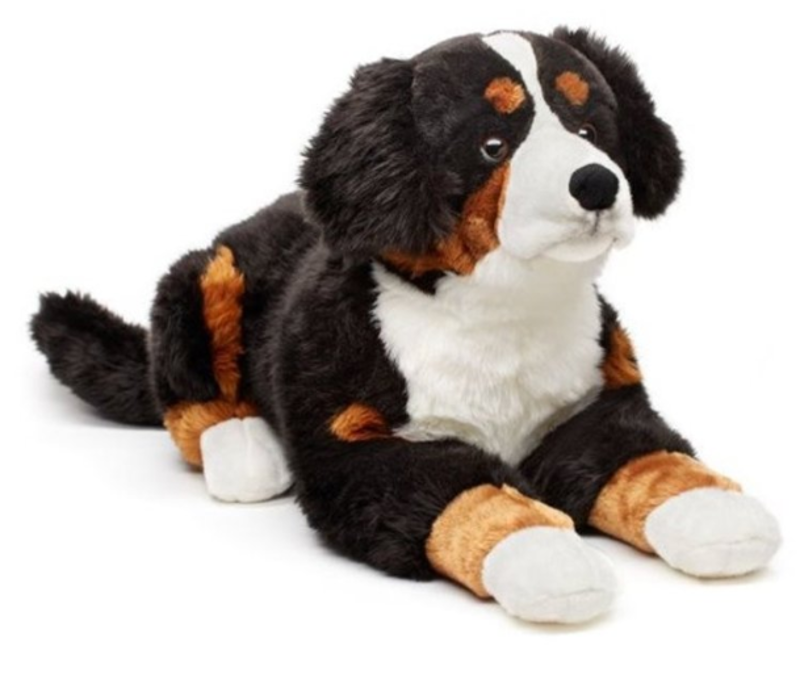 CADEAUSHOP PLUCHE KNUFFEL BERNER SENNEN, 2995 ALL IN PUNTEN