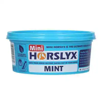 HORSLYX MINT MINI