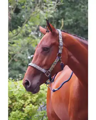 HALSTER CRAZY GOLD NAVY FULL