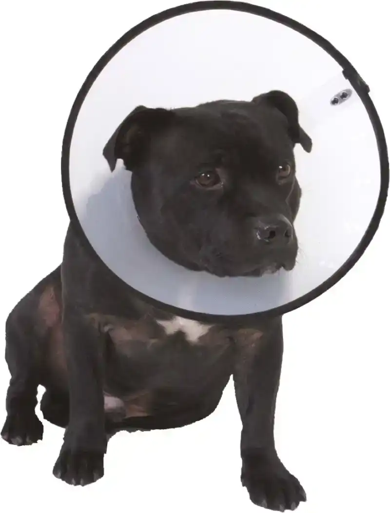 SMART COLLAR NR. 4 (40-56CM) HONDENKRAAG