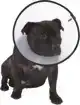 SMART COLLAR NR. 4 (40-56CM) HONDENKRAAG