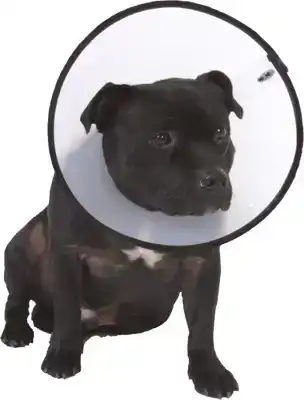 SMART COLLAR NR. 4 (40-56CM) HONDENKRAAG