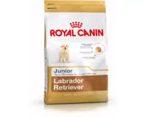 RC BHN LABRADOR JUNIOR 3KG