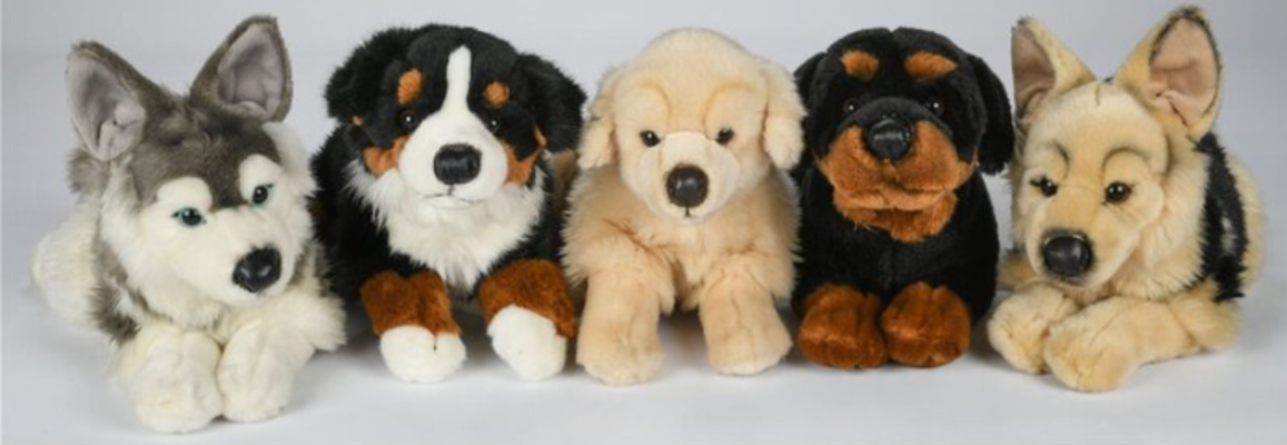 CADEAUSHOP PLUCHE HOND DIVERSE SOORTEN, 1400 ALL IN PUNTEN