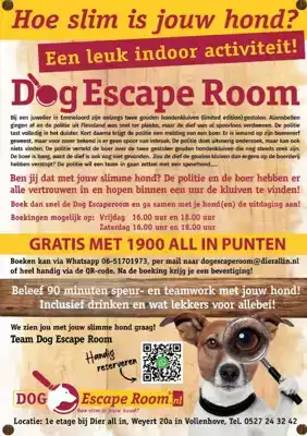 CADEAUSHOP DOG ESCAPEROOM, ACTIE 1900 ALL IN PUNTEN