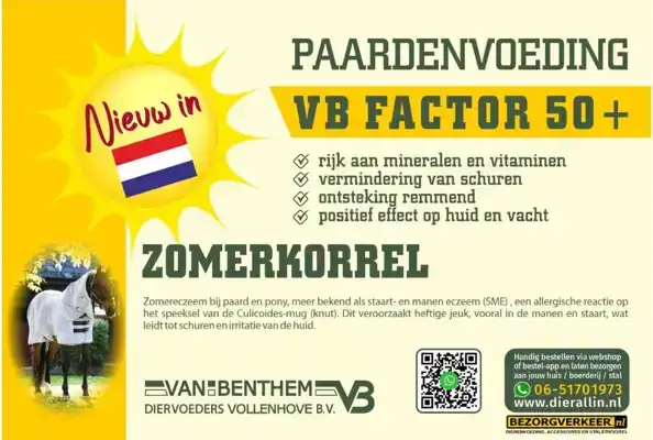 PAARDENVOEDING VB FACTOR 50+ PROMO EMMER