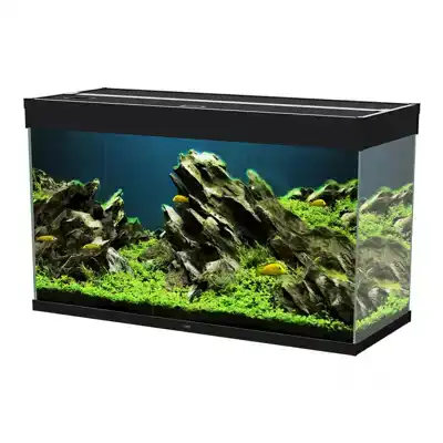 CIANO AQUARIUM EMOTIONS NATURE PRO 100 ZWART