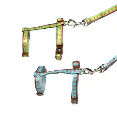 DUVO+ KONIJN WANDELSET CARROT GROEN/BLAUW