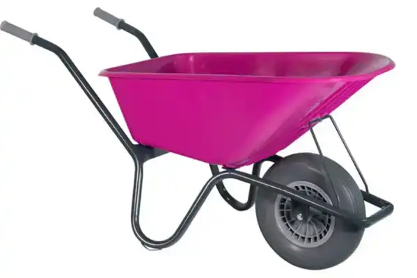KLUS/TUIN KRUIWAGEN FUCHSIA