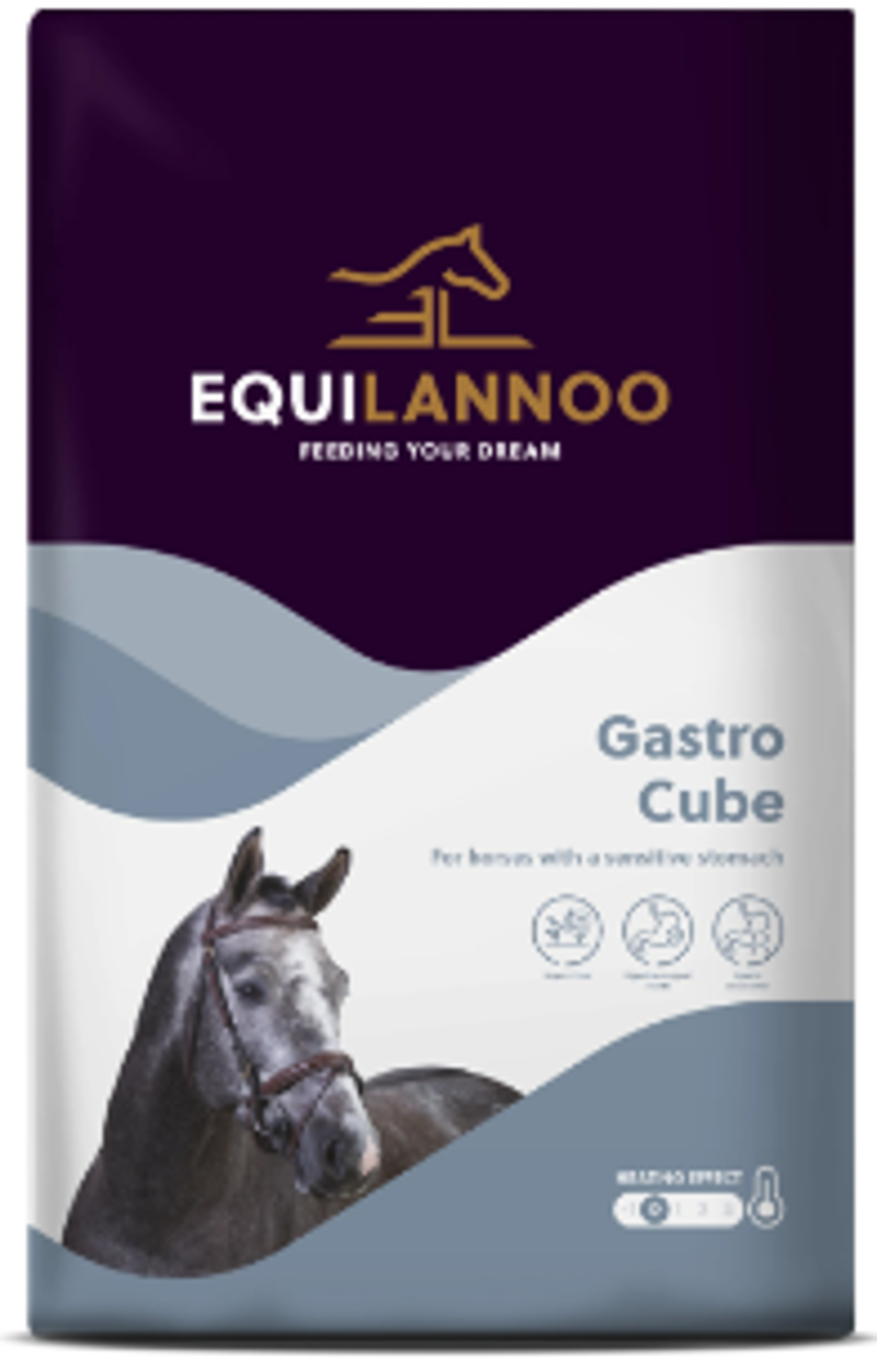 EQUILANNOO GASTRO CUBE 20 KG FUNCTIONALS