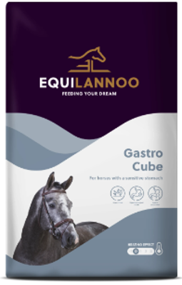 EQUILANNOO GASTRO CUBE 20 KG FUNCTIONALS