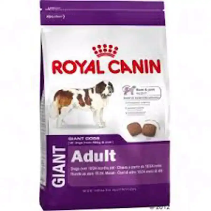 RC SHN GIANT ADULT 4KG