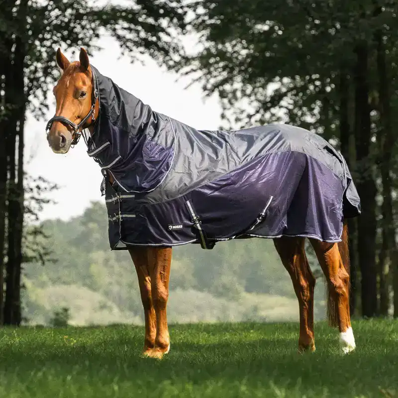 CADEAUSHOP COMBI REGEN- EN VLIEGENDEKEN, 2900 ALL-IN PUNTEN