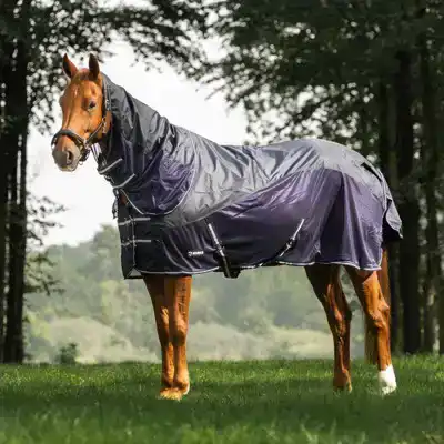 CADEAUSHOP COMBI REGEN- EN VLIEGENDEKEN, 2900 ALL-IN PUNTEN